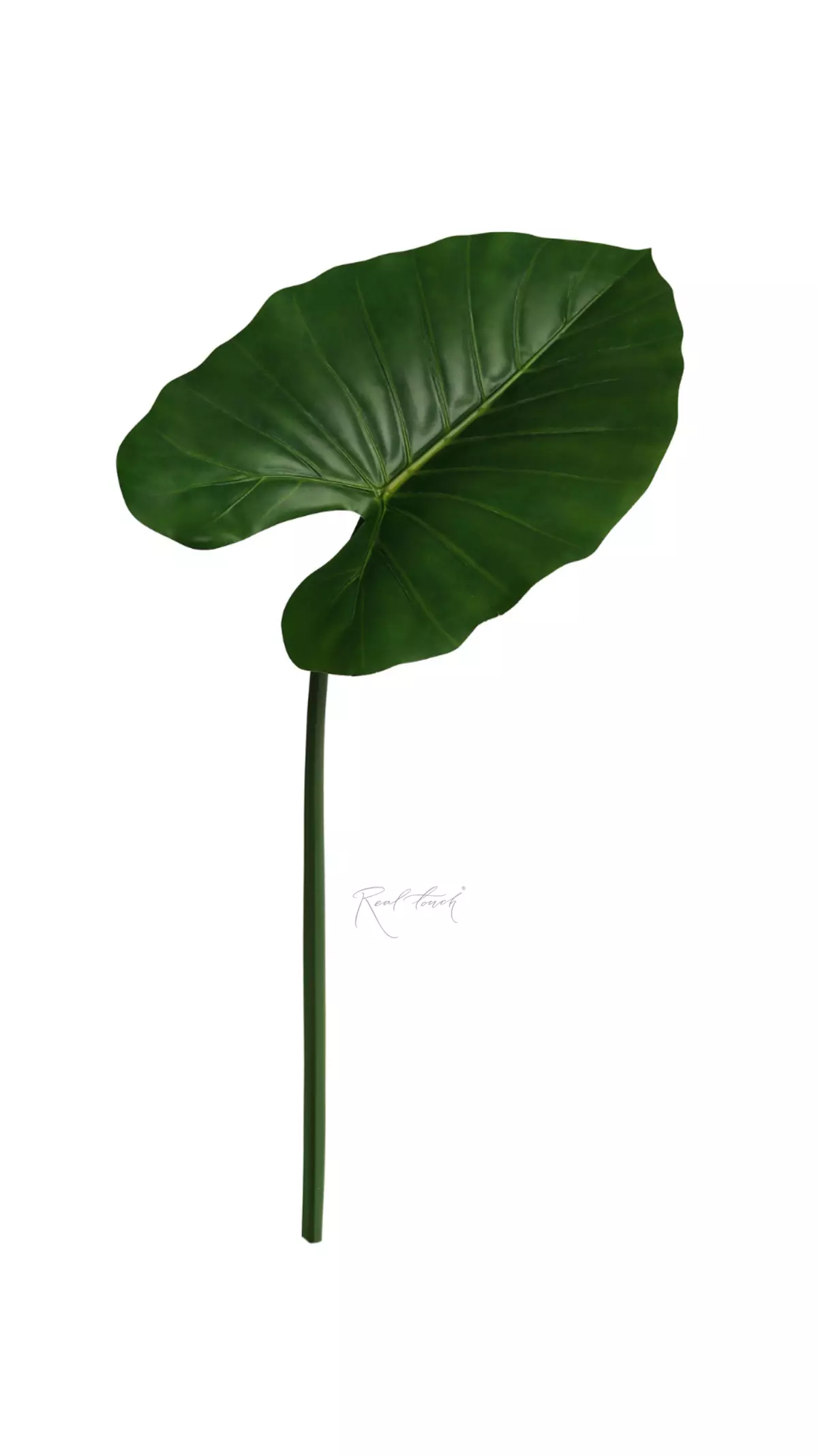 Alocasia leaf 96cm - green