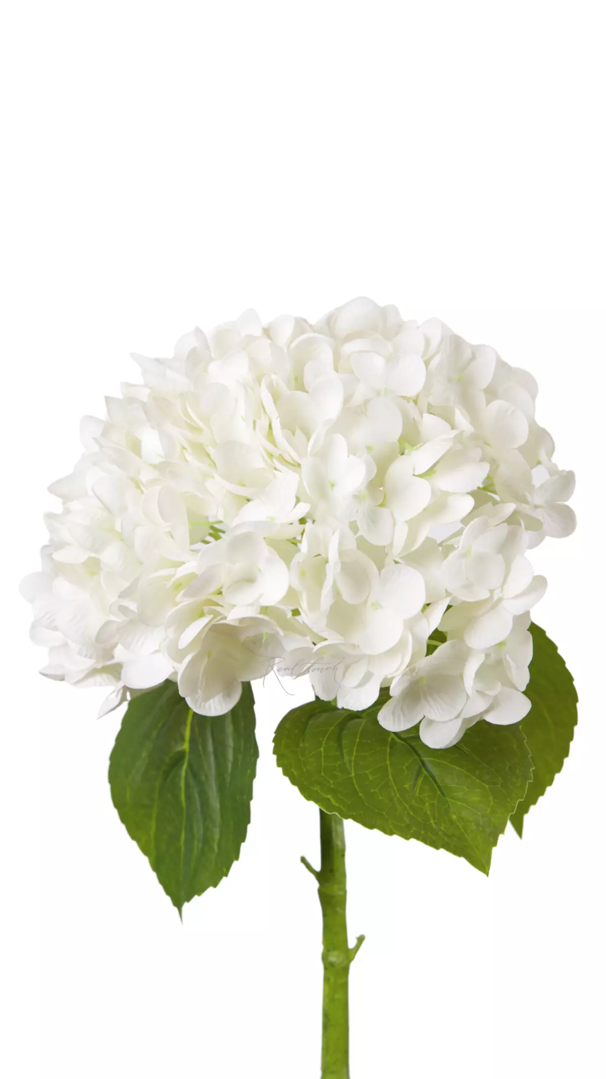 Real Touch Garden Hydrangea (with stem) - white