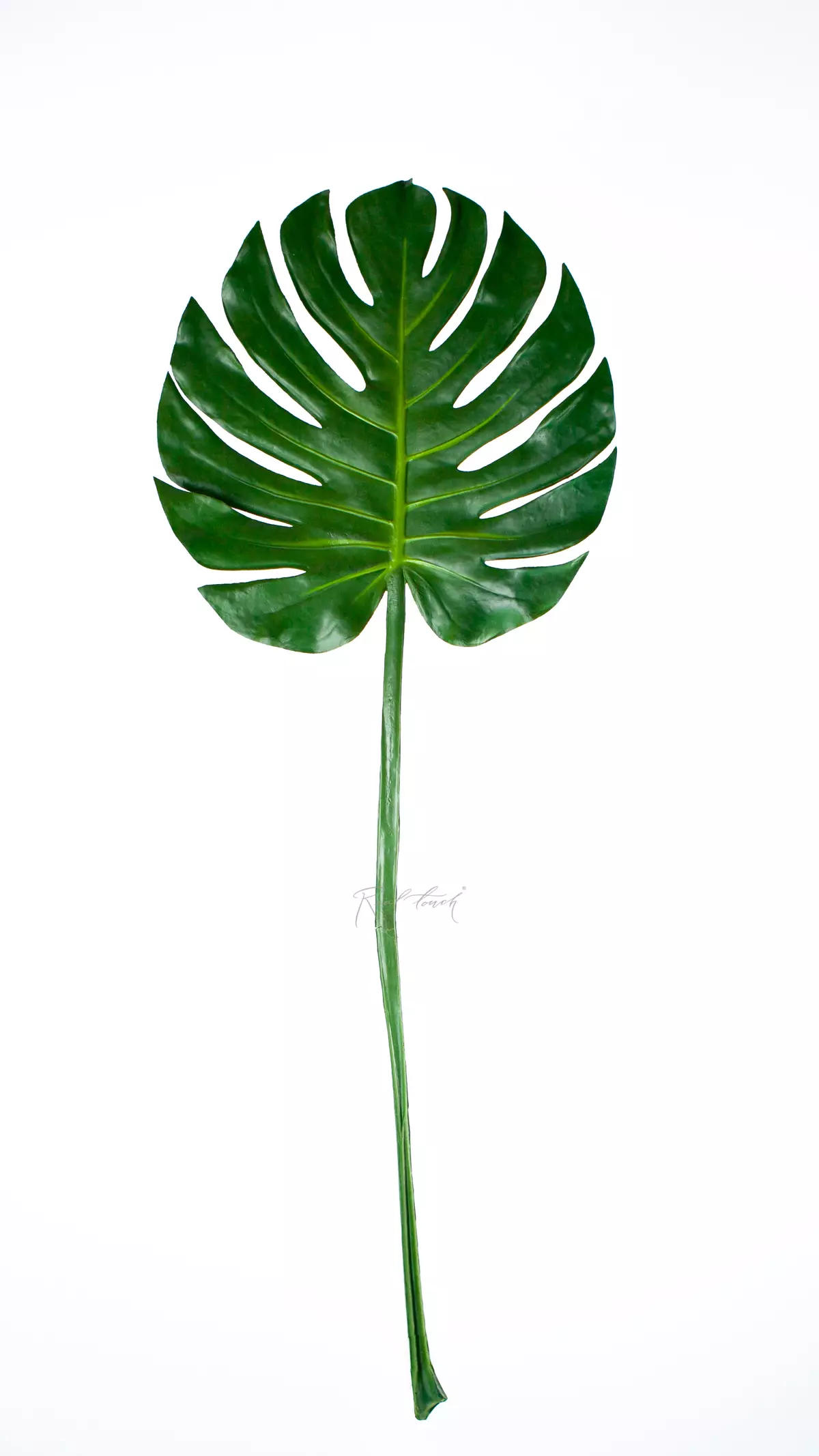Real Touch Monstera Leaf SPU big  - green