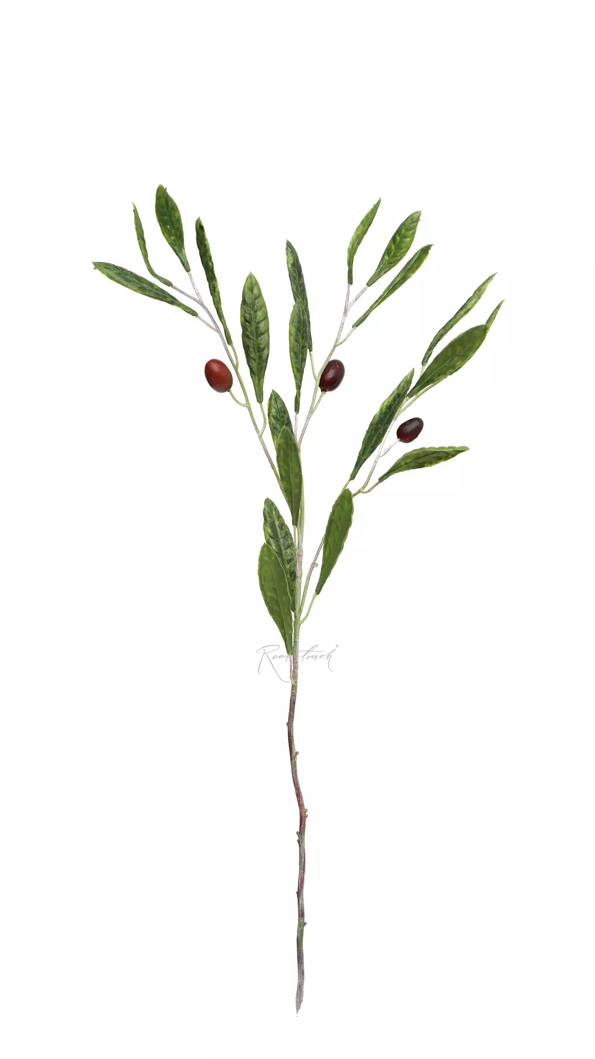 Olive branch with fruits 75cm - green