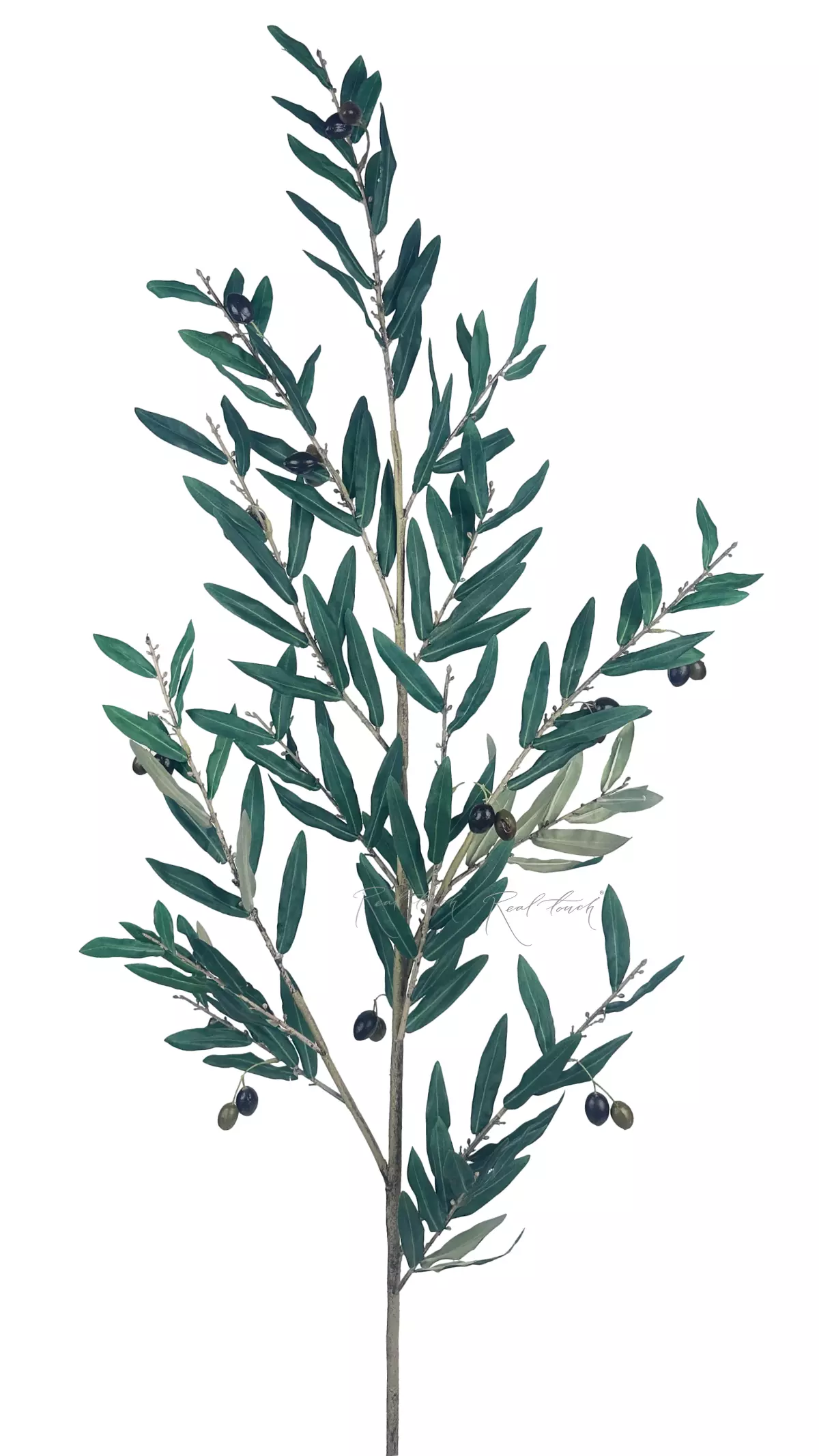 Olive branch with fruits 135cm with UV protection - green Olive branch with fruits 135cm with UV protection - green