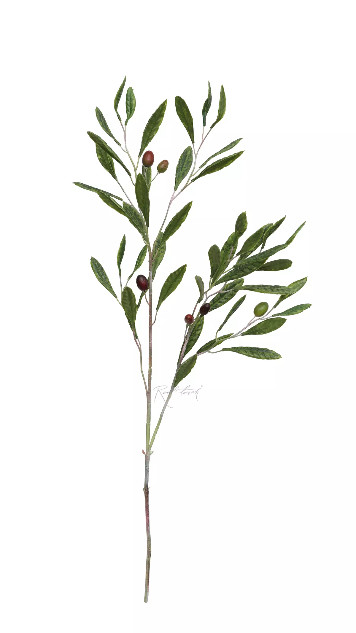 Olive branch with fruits 105cm - green