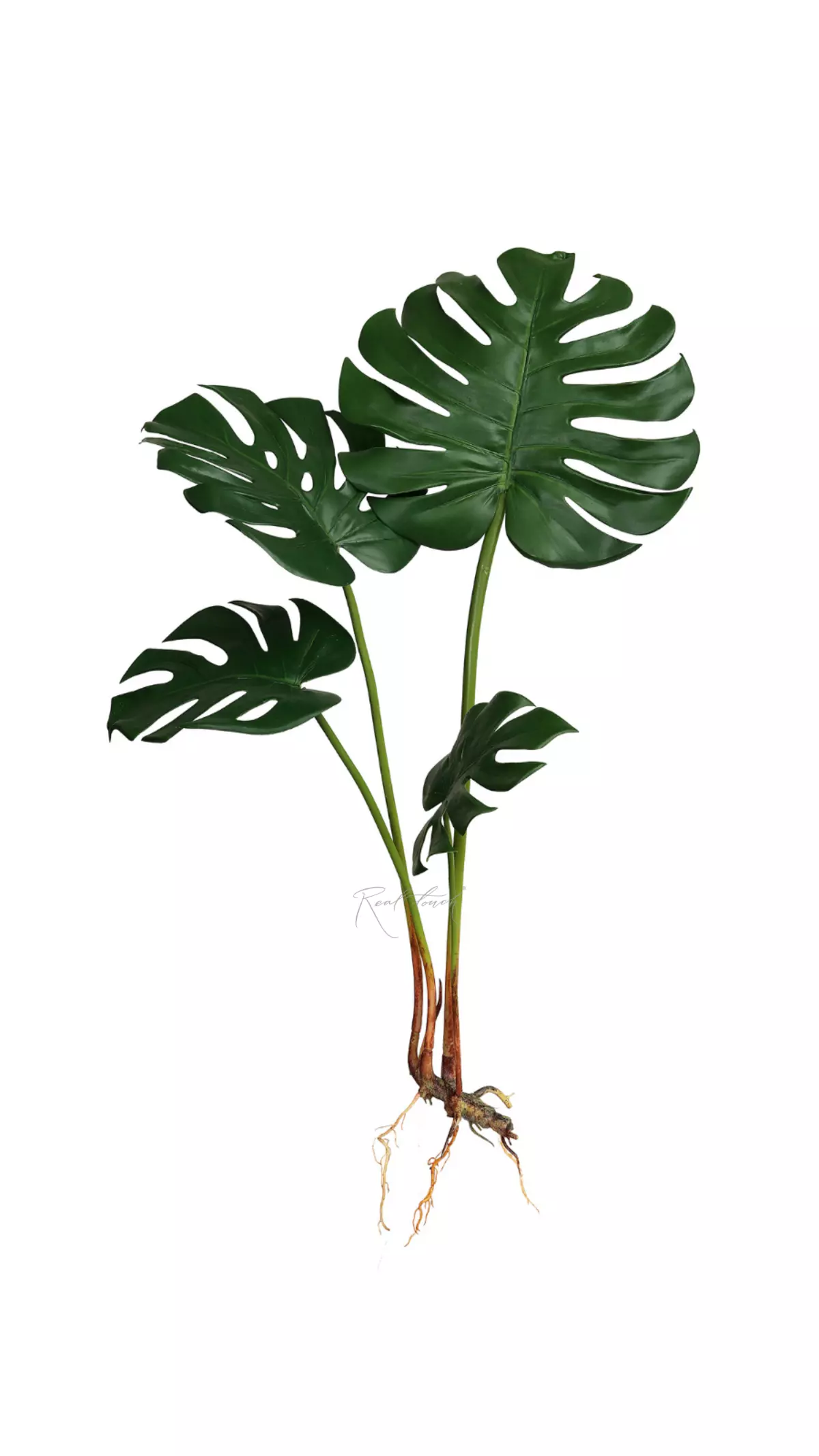 Artificial Monstera bush with 4 leaves and roots  - green