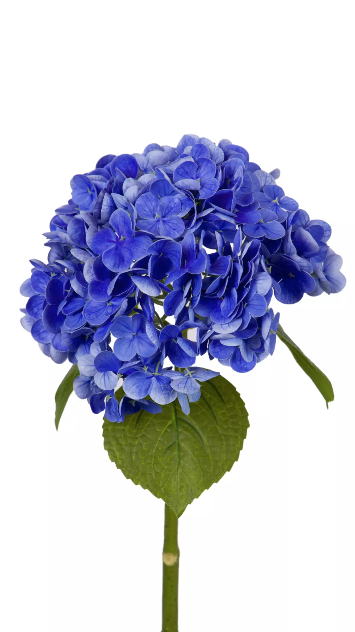 Real Touch Garden Hydrangea (with stem) - blue