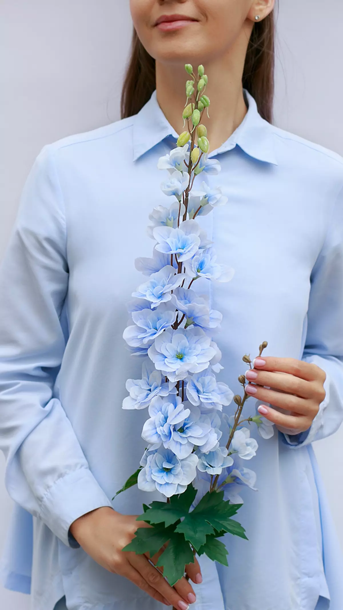 Delphinium with 2 Sprays - light blue