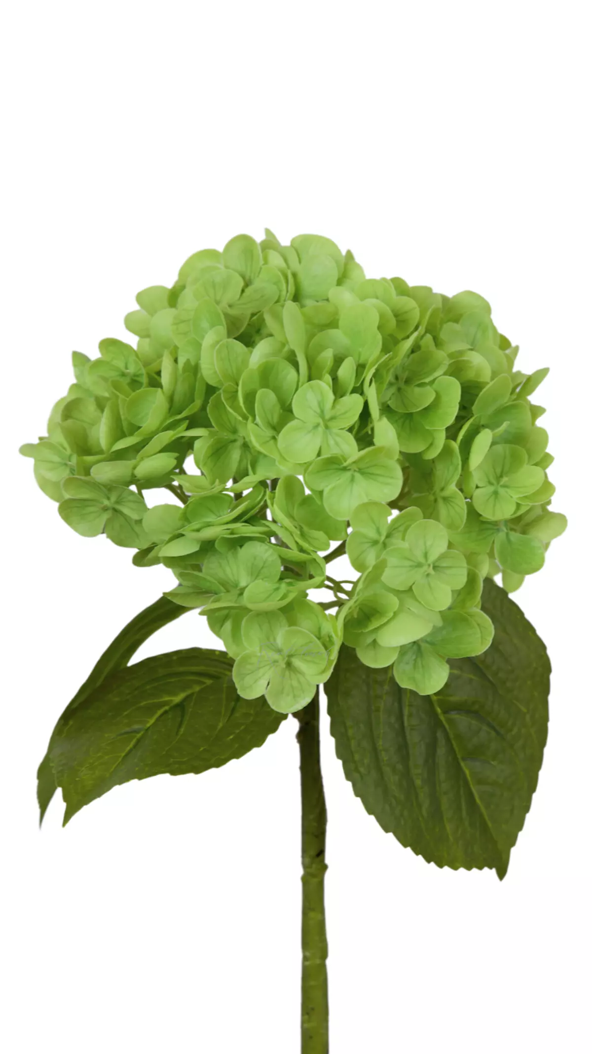 Real Touch Garden Hydrangea (with stem) - green