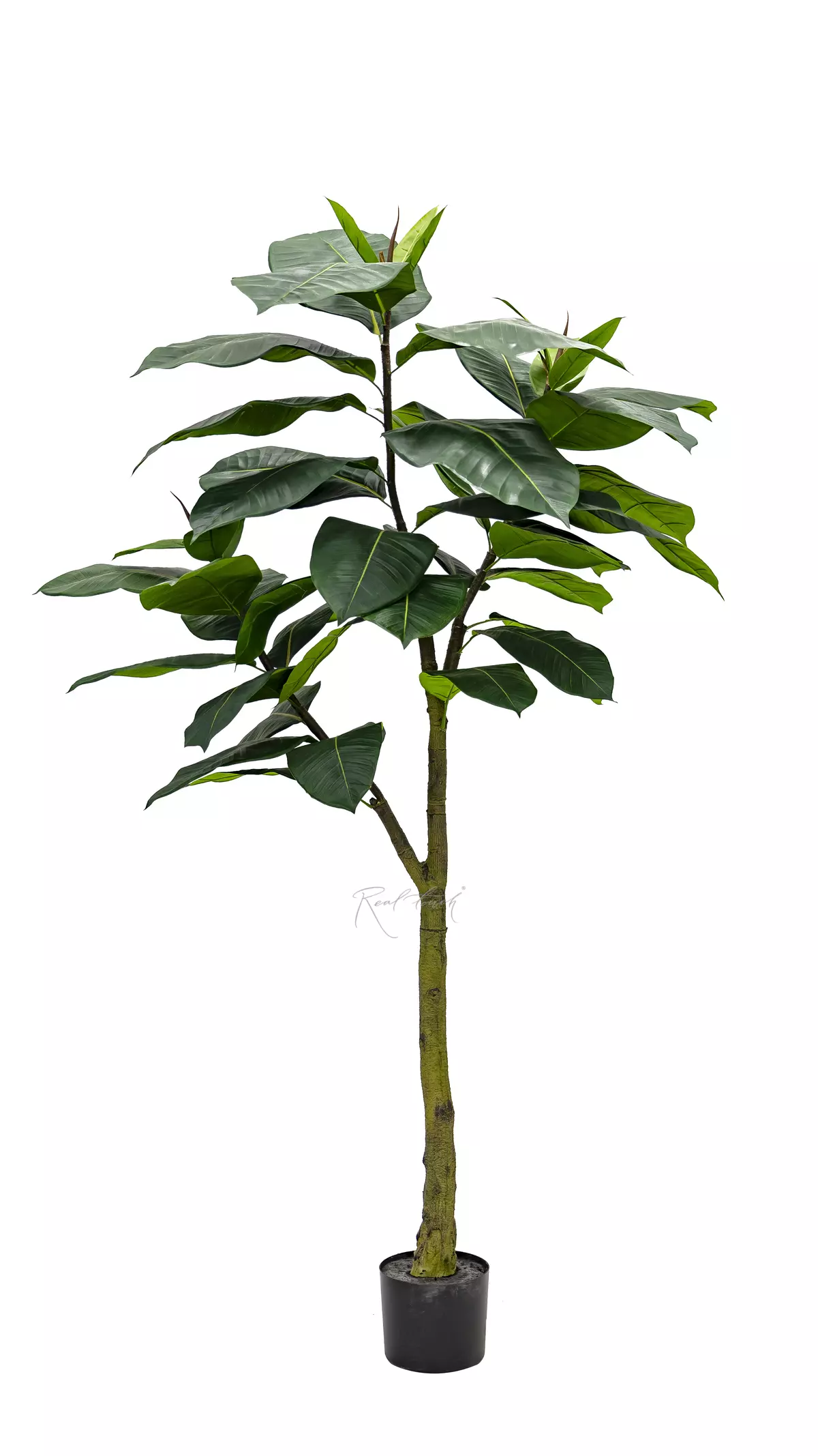 Artificial Ficus Elastica Abidjan 180cm - green Artificial Ficus Elastica Abidjan 180cm - green