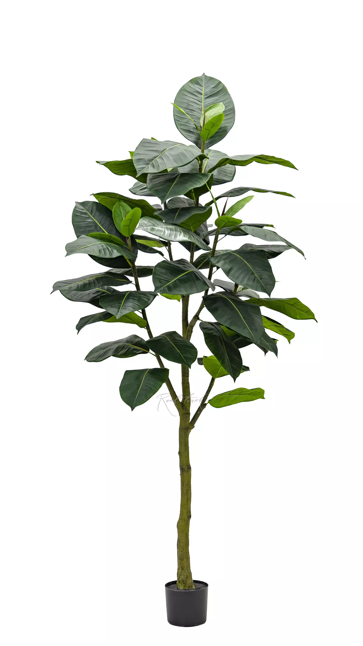 Artificial Ficus Elastica Abidjan 210cm - green Artificial Ficus Elastica Abidjan 210cm - green