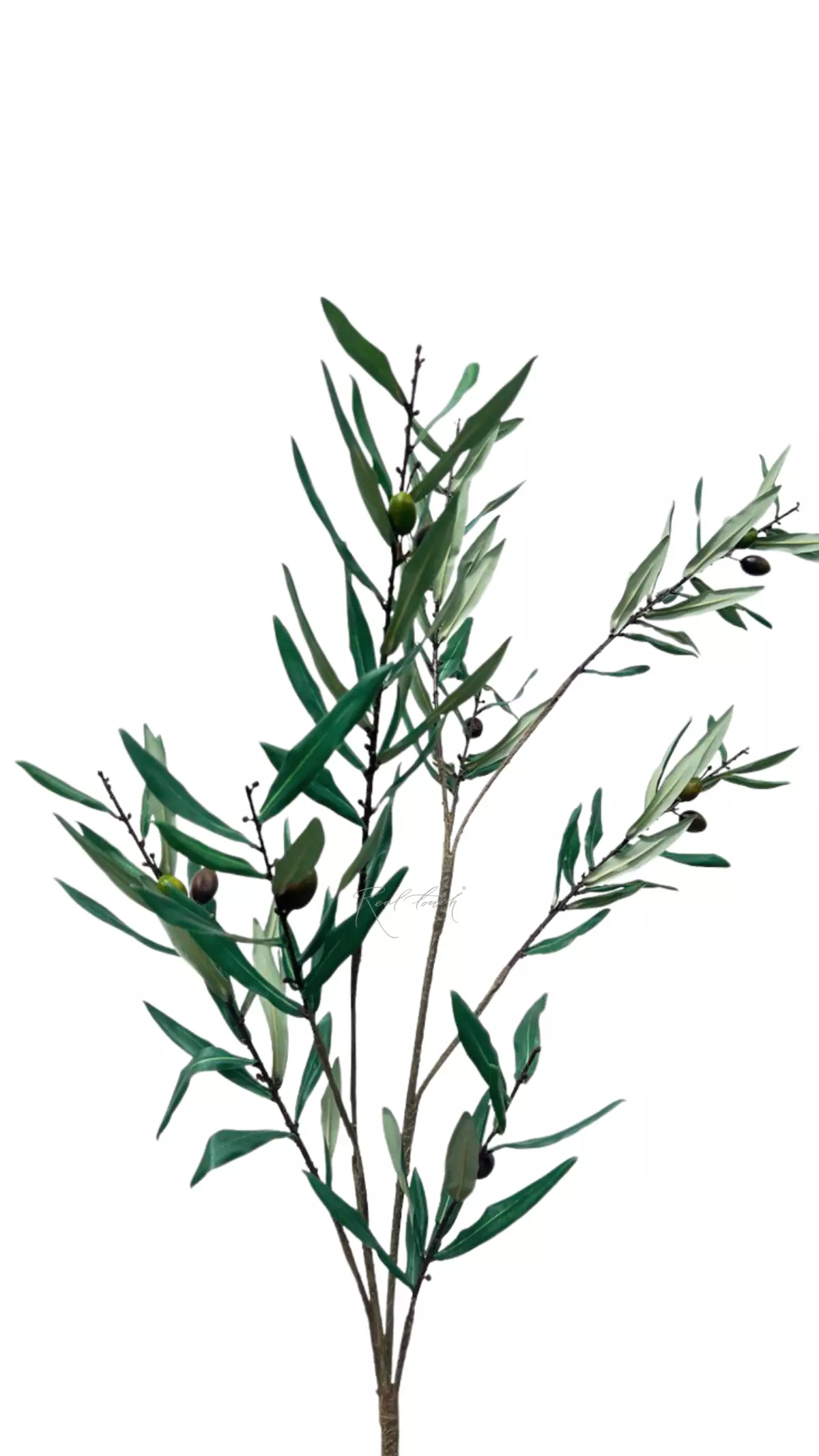 Olive branch with fruits 150cm - green Olive branch with fruits 150cm - green