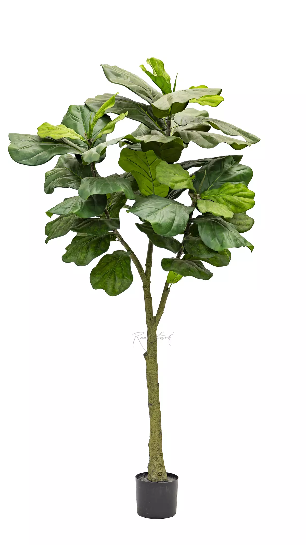 Artificial Ficus Lyrata Columnaris 180cm - green Artificial Ficus Lyrata Columnaris 180cm - green