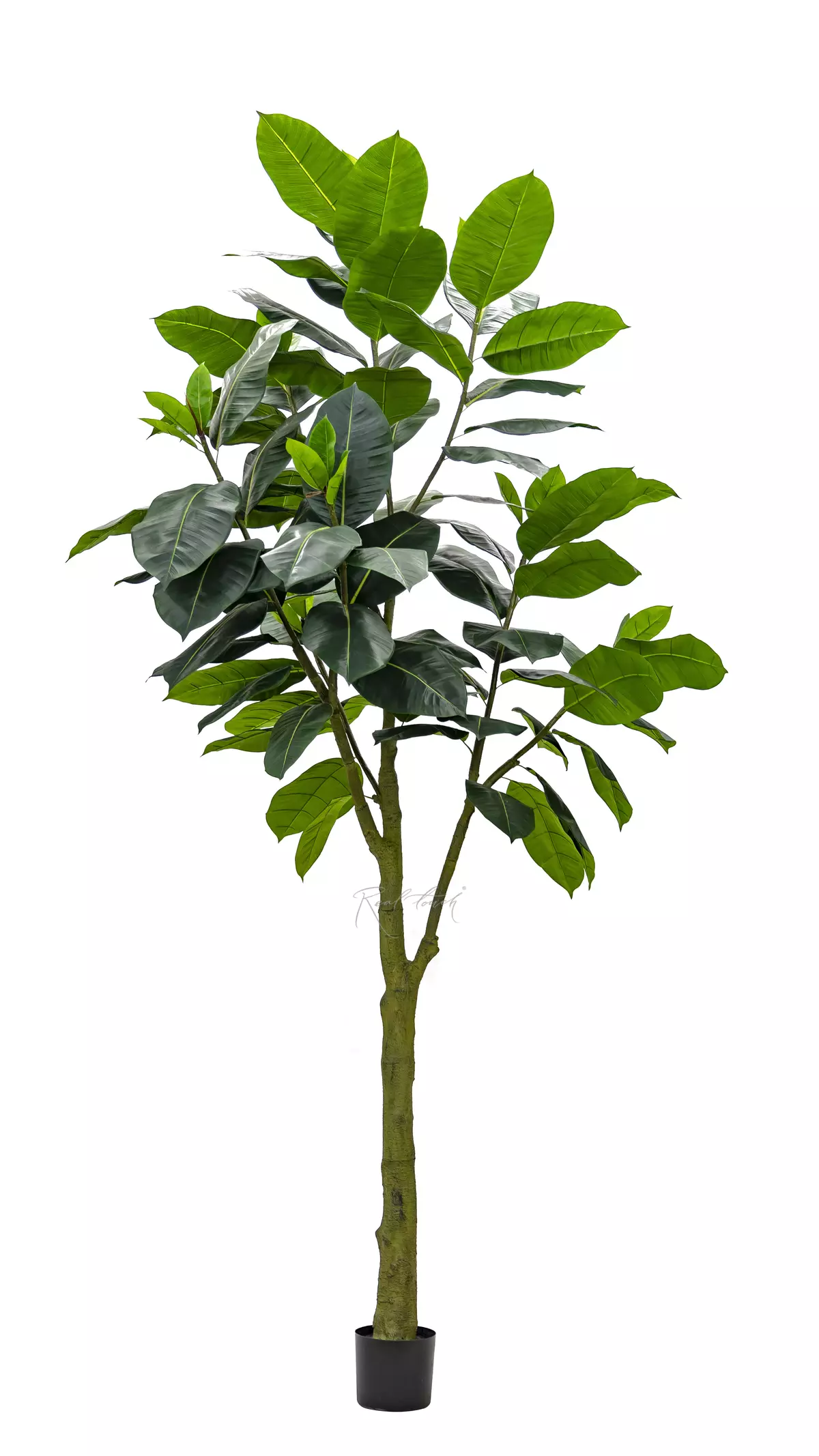 Artificial Ficus Elastica Abidjan 300cm - green Artificial Ficus Elastica Abidjan 300cm - green