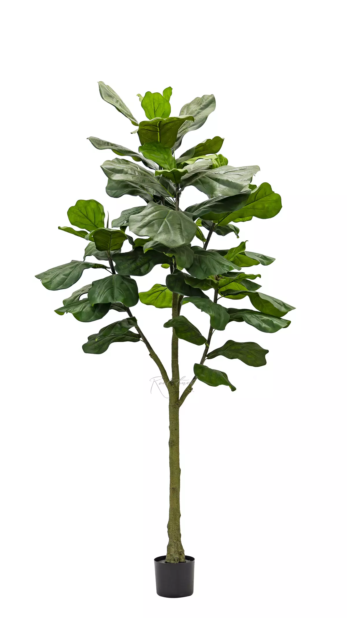 Artificial Ficus Lyrata Columnaris 210cm - green