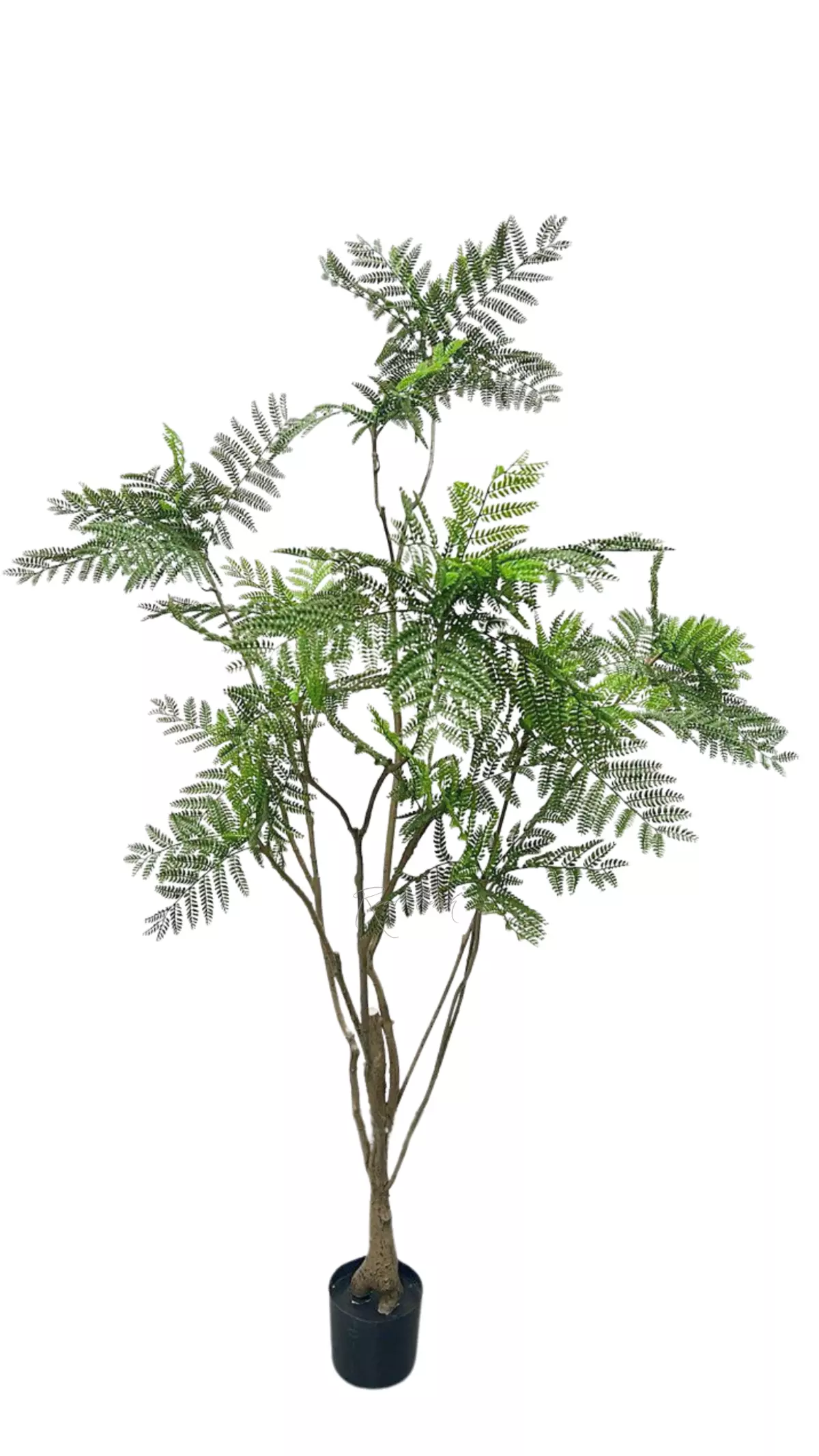 Jacaranda Tree 208 cm - green