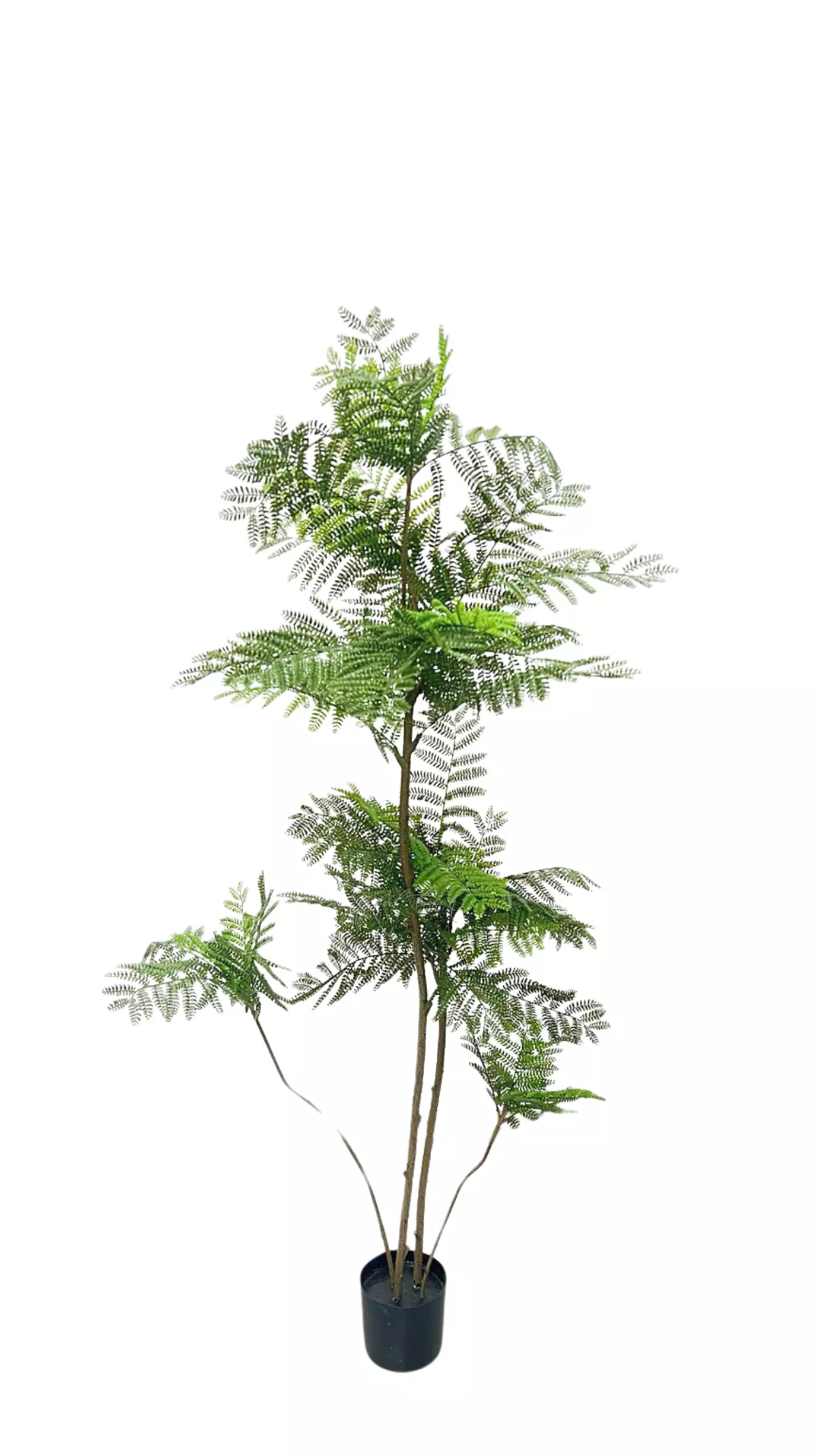 Jacaranda Tree 180 cm - green Jacaranda Tree 180 cm - green
