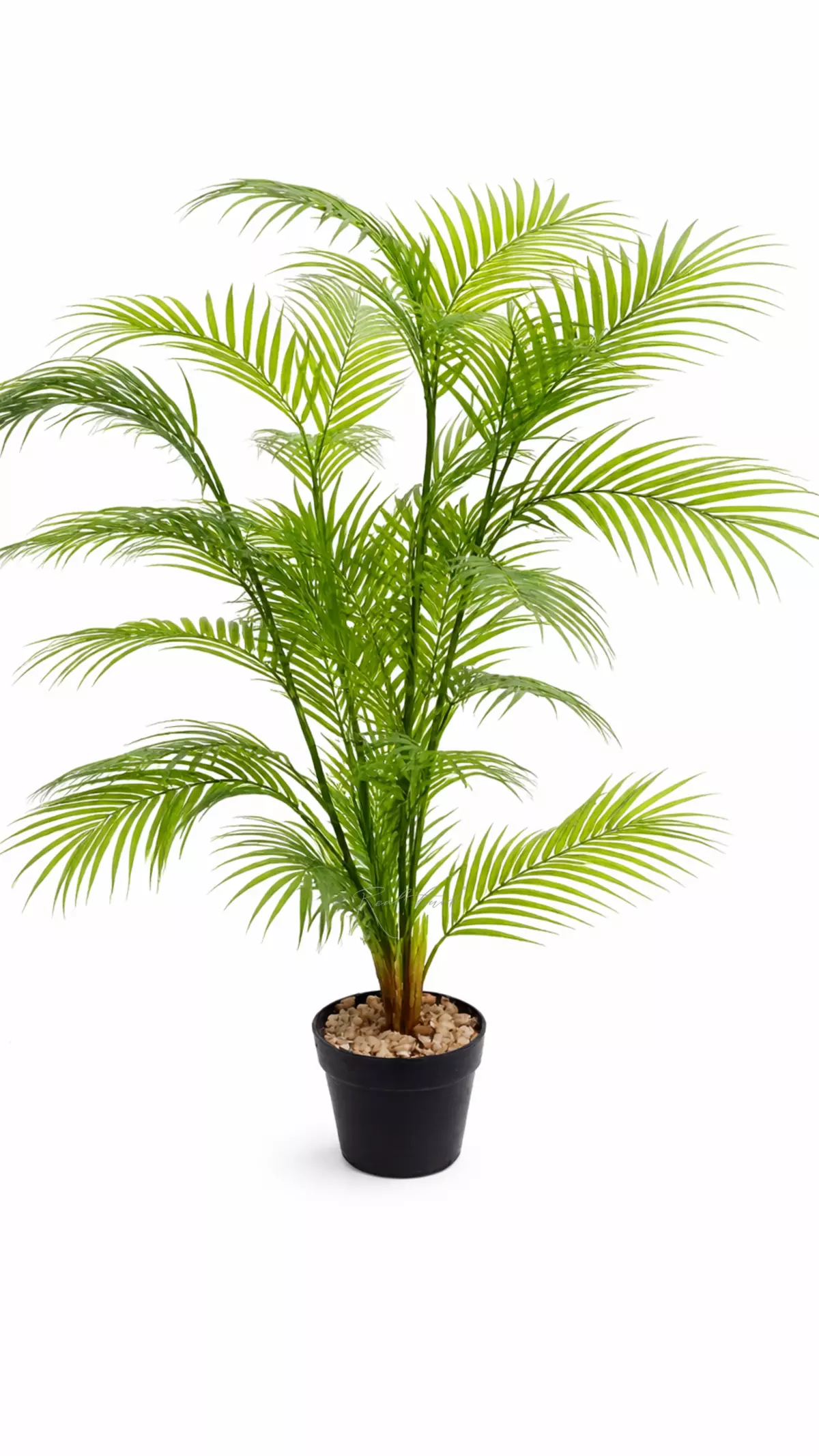 Areca palm 125cm in a technical planter - green Areca palm 125cm in a technical planter - green