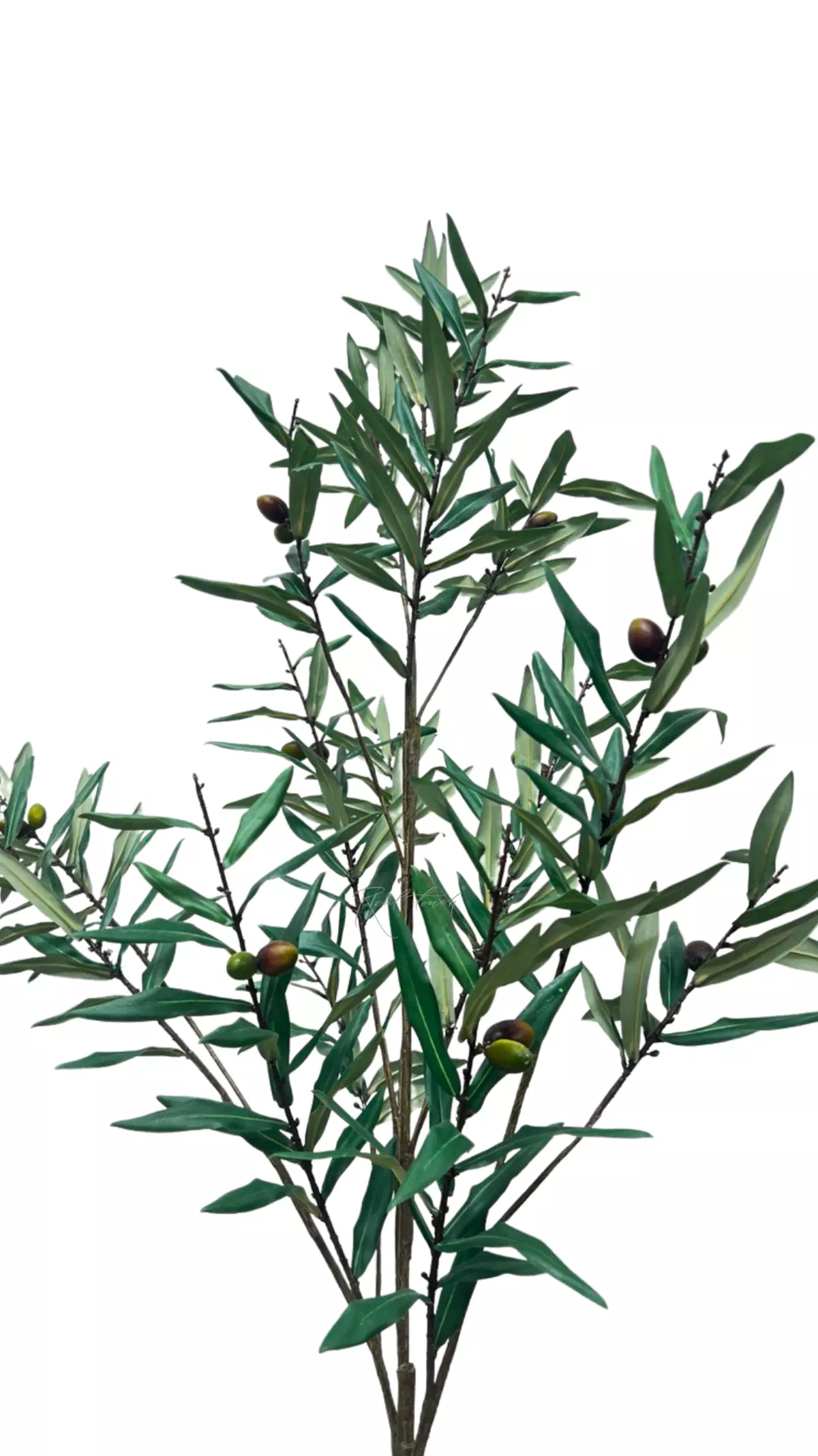 Olive branch with fruits 165cm - green Olive branch with fruits 165cm - green
