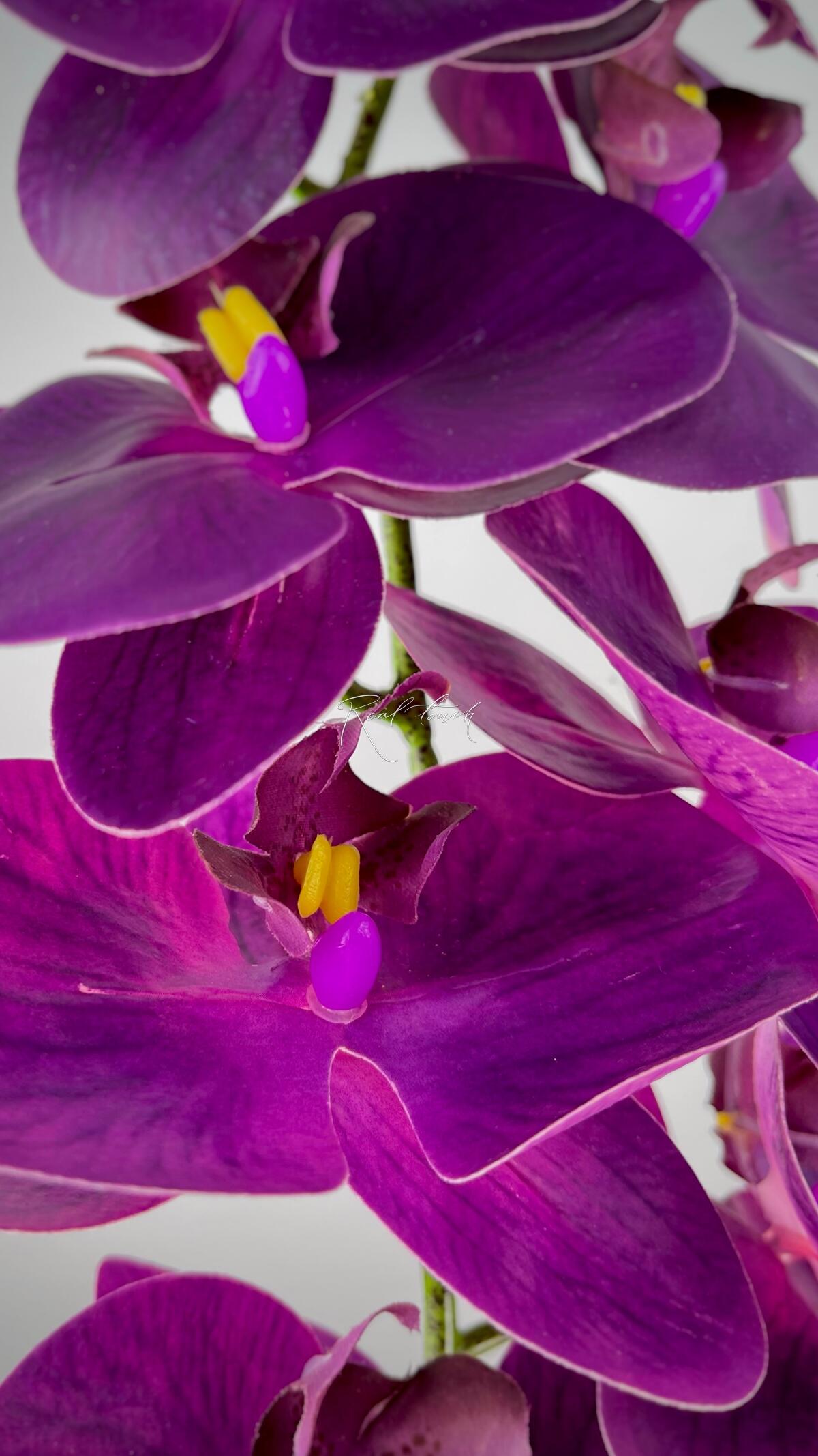 Real Touch Phalaenopsis Orchid (9 blooms) dark purple