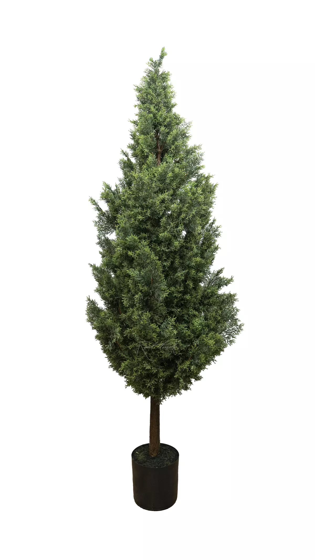 Real Touch Juniper 72" (180cm) - white green Real Touch Juniper 72" (180cm) - white green