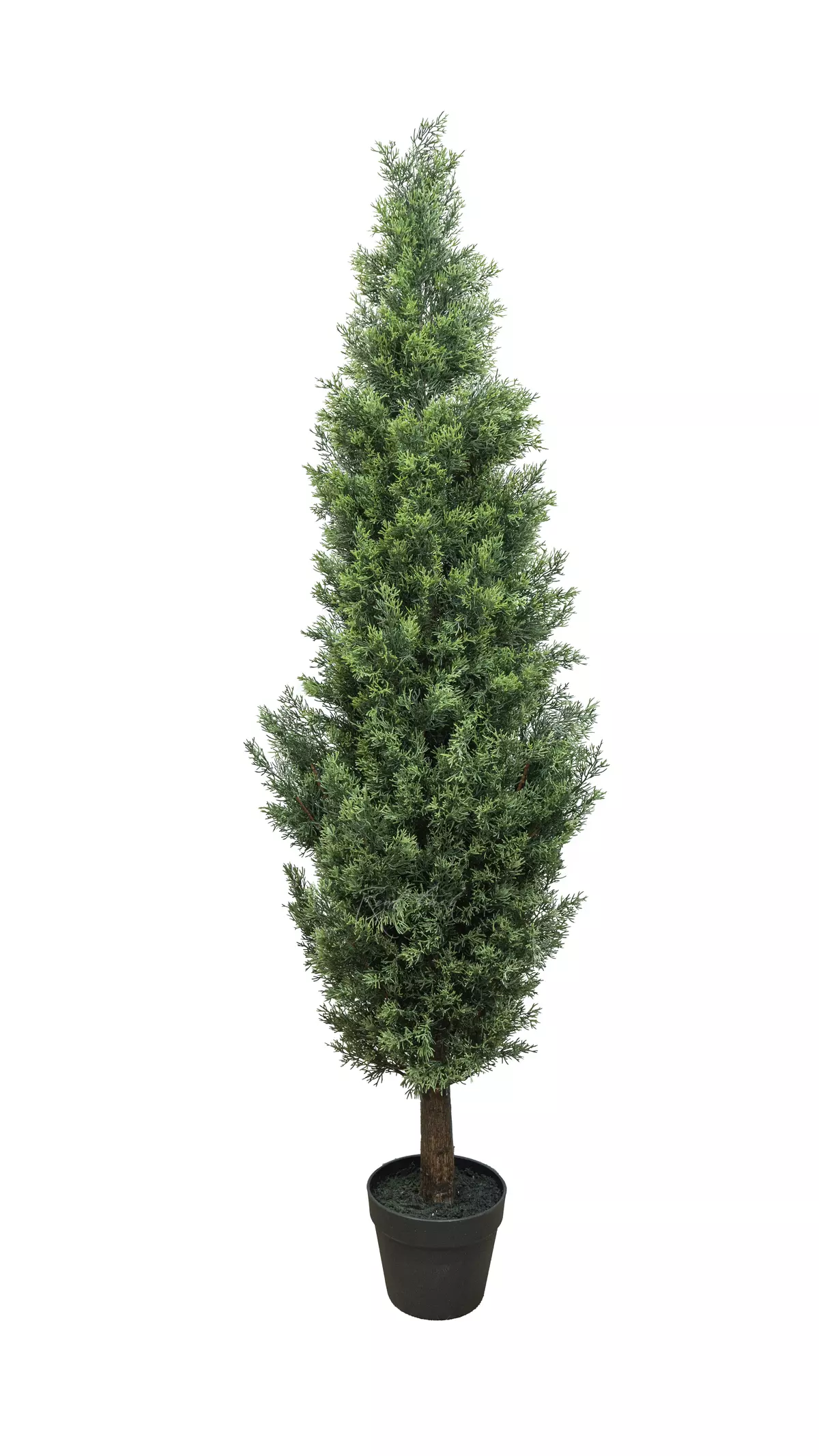 Real Touch Juniper 60" (150 cm) - green Real Touch Juniper 60" (150 cm) - green