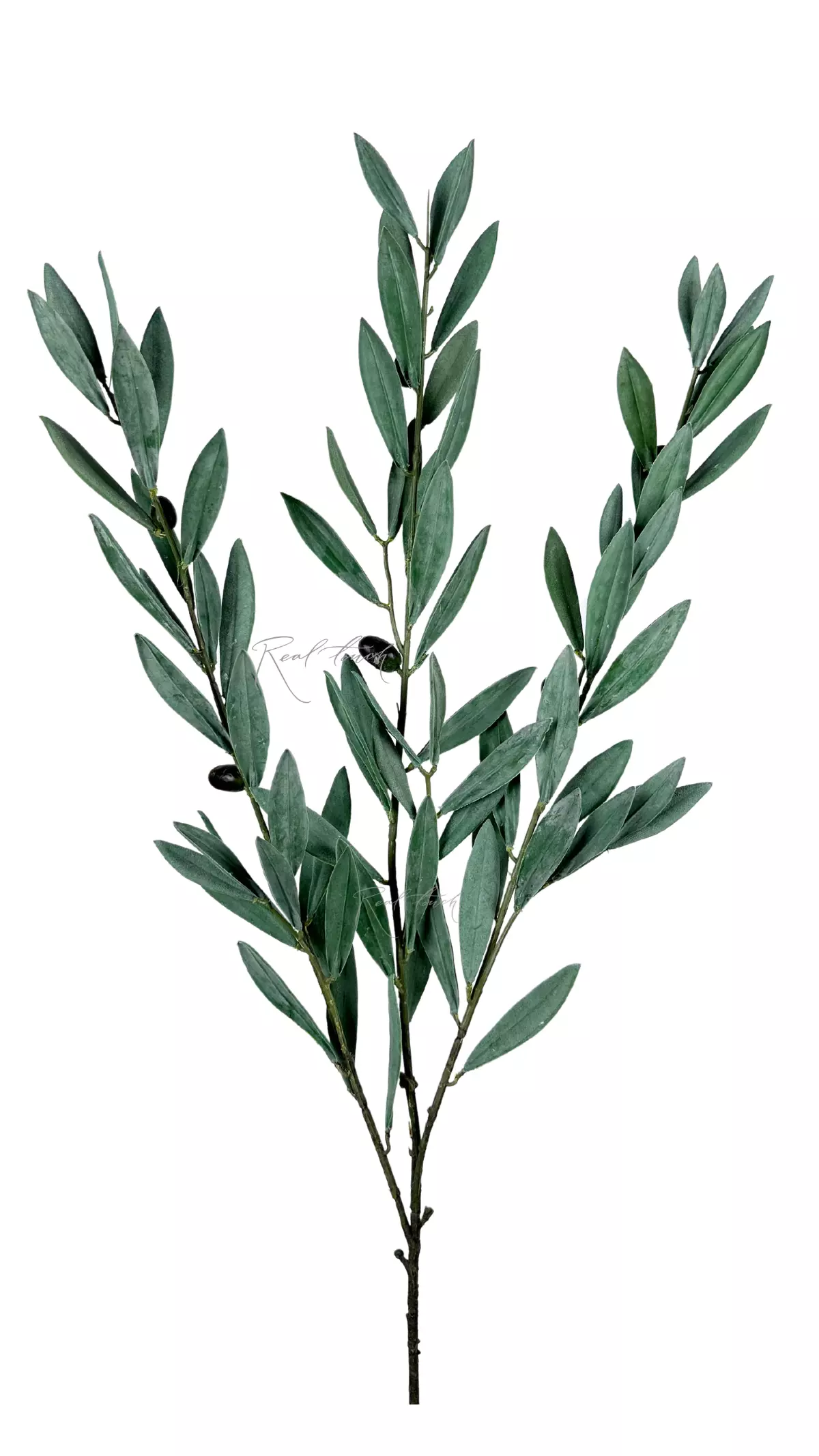 Olive branch with fruits (medium) 72cm - green Olive branch with fruits (medium) 72cm - green