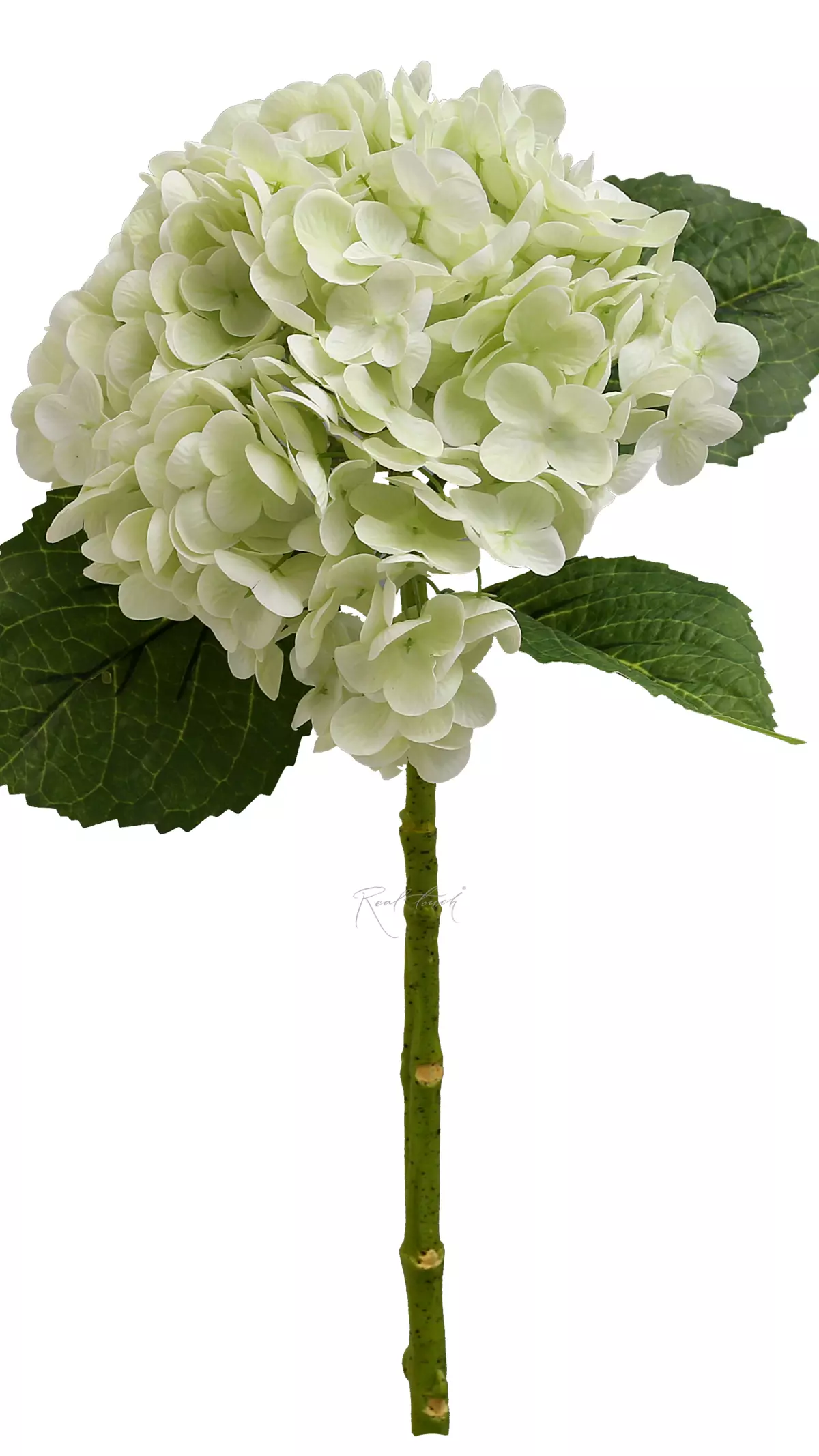 Real Touch Garden Hydrangea (with stem) - light green Real Touch Garden Hydrangea (with stem) - light green