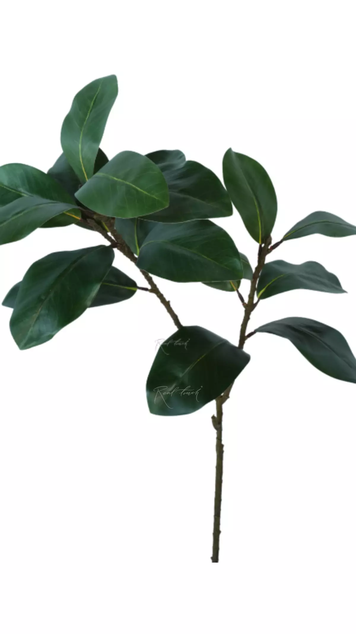 Branch with magnolia leaves (2 sprays) - green