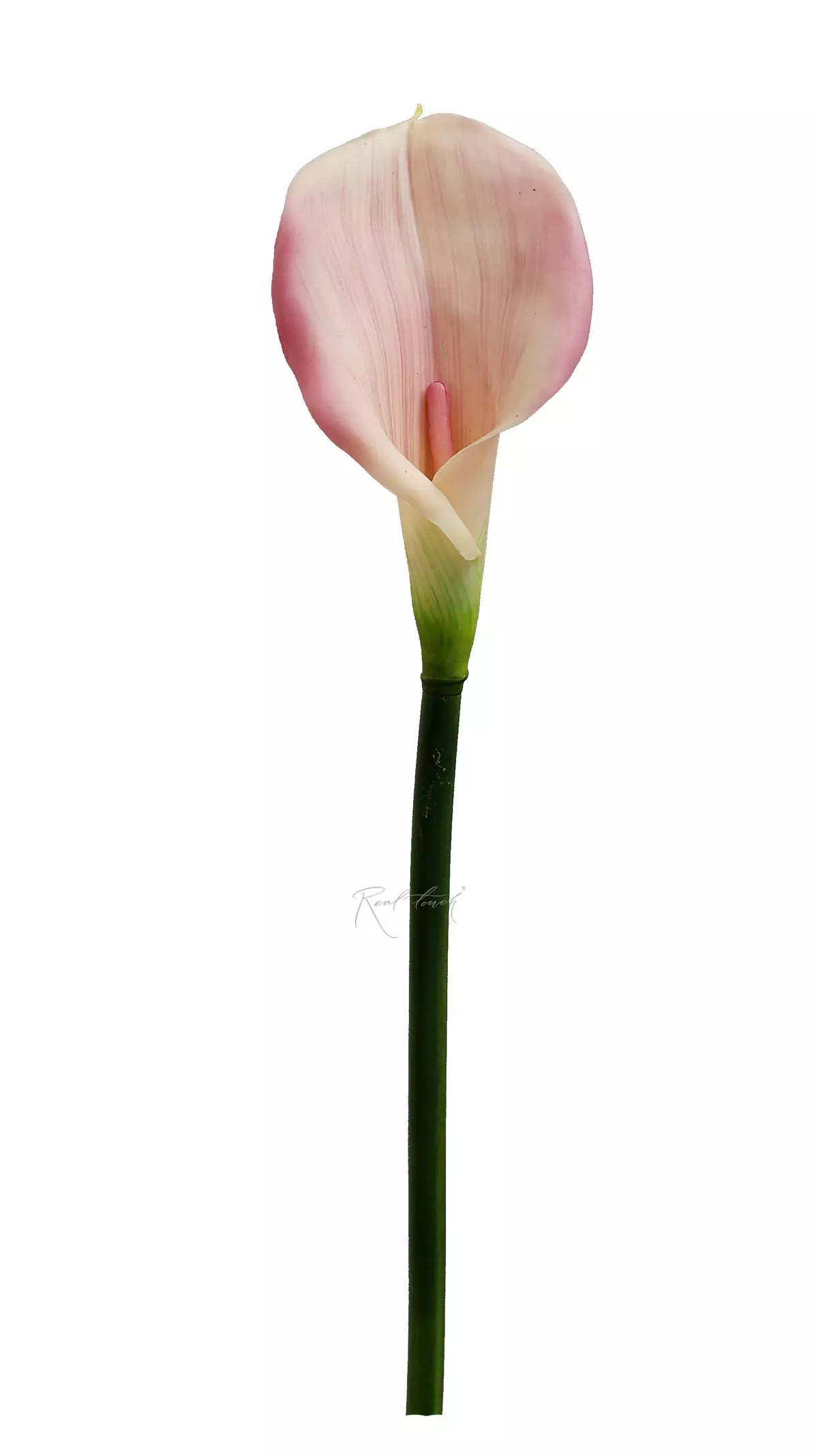 Real Touch Calla Lily Premium - light purple 