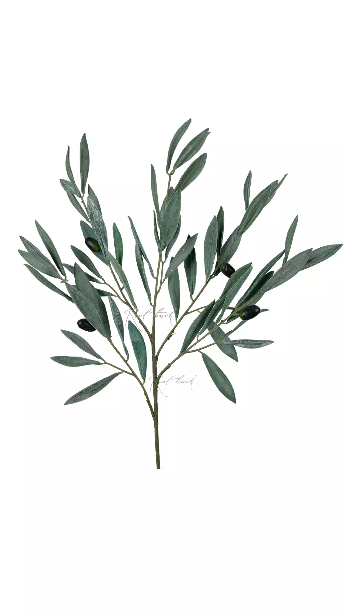 Olive branch with fruits (small) 50cm - green Olive branch with fruits (small) 50cm - green