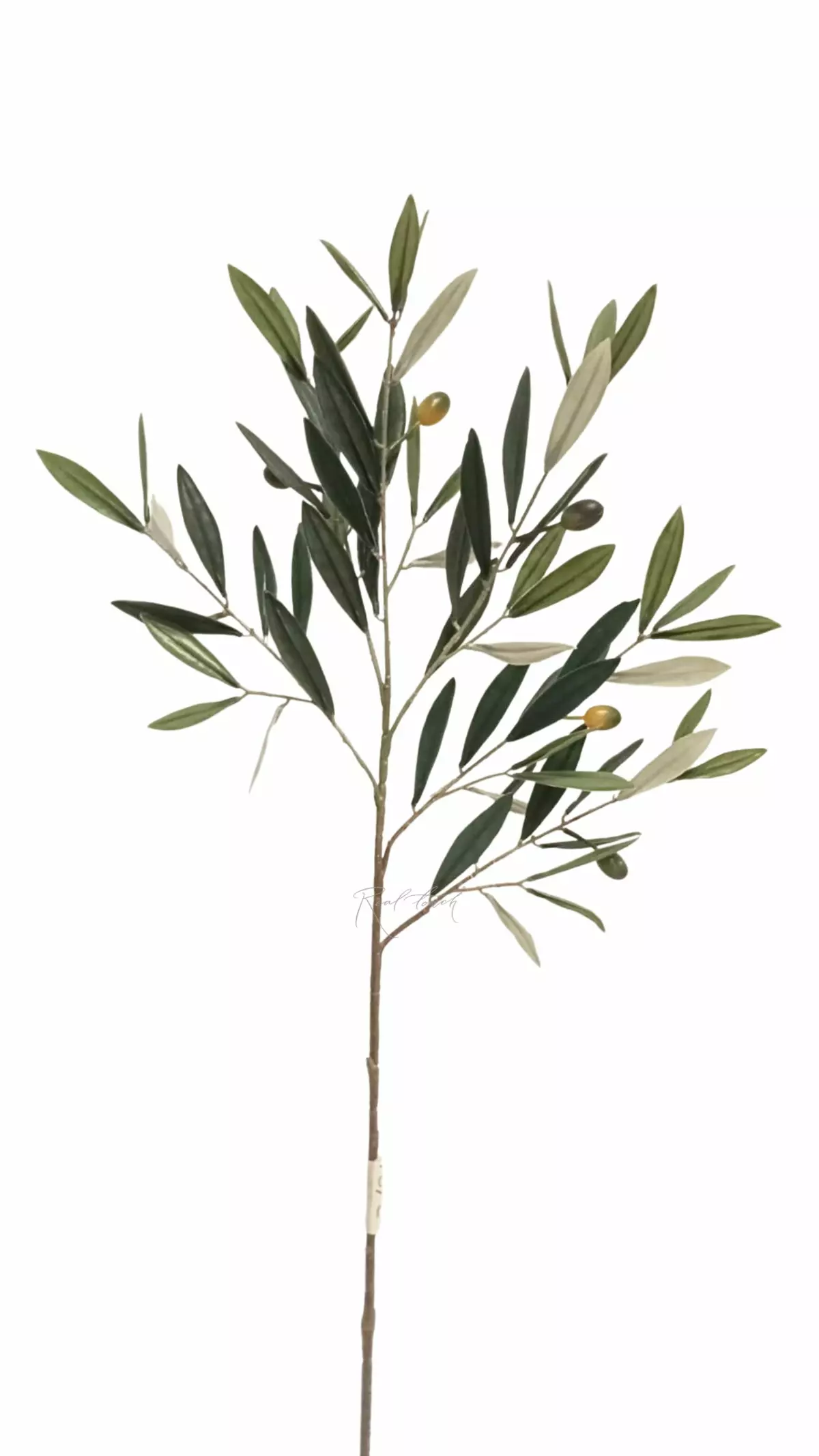Olive branch 75cm with UV protection - green Olive branch 75cm with UV protection - green