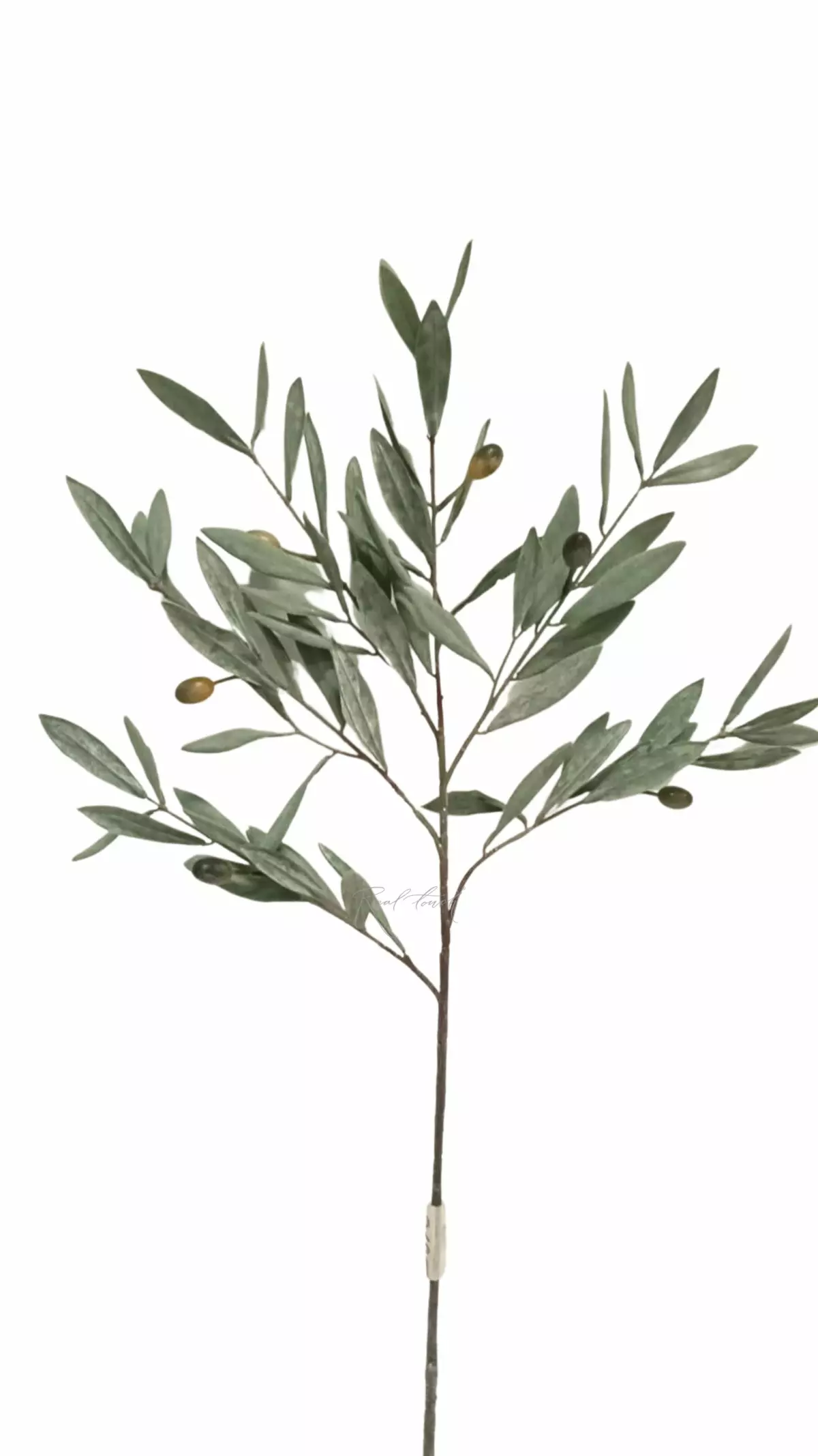 Olive branch 75cm with UV protection - dusty green