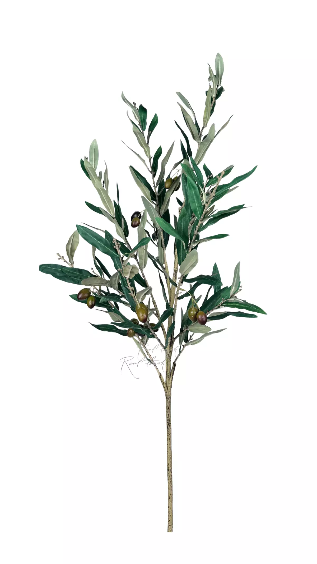Olive branch with fruits 140cm with UV protection - green Olive branch with fruits 140cm with UV protection - green