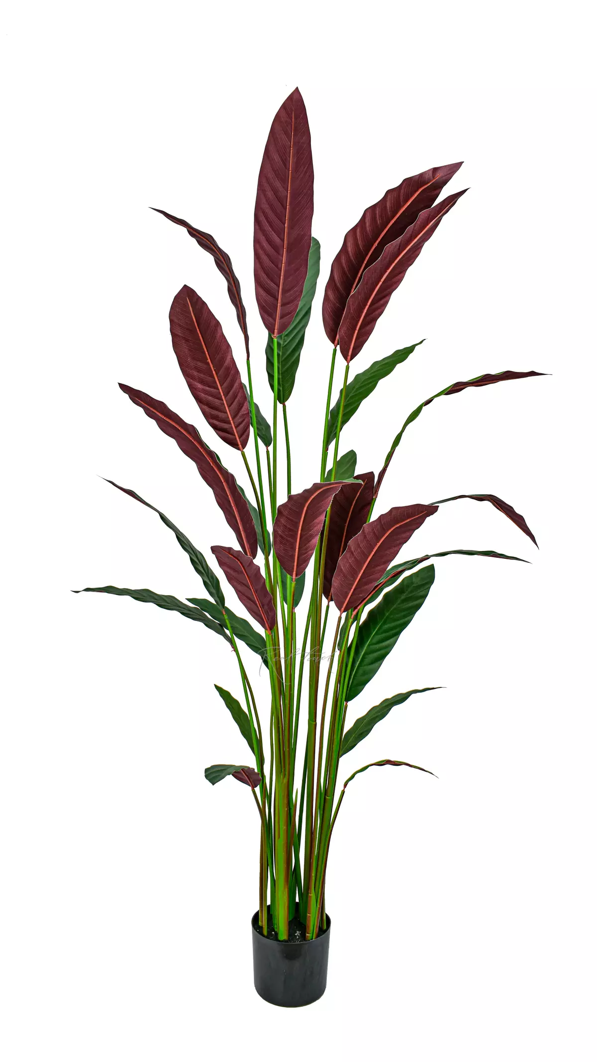 Artificial Calathea rufibarba 180cm  - Dark green